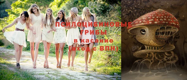 крисы Волосово