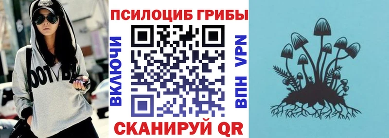 Купить закладки  Новосокольники  Галлюциногенные грибы ЛСД 